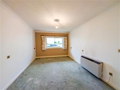 Picture 11